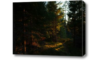 Картина Закат в лесу
