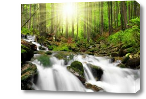 Картина Водопад в лесу