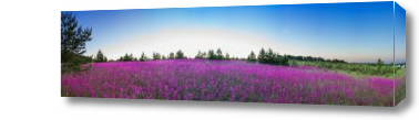 Картина Цветущий луг