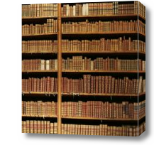Картина Книжные полки