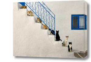 Картина Коты на ступеньках