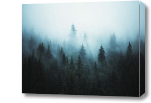 Картина Туманный лес