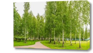 Картина Березовая роща