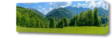 Картина Лес и горы